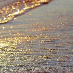 Meet your Posher, Dannika